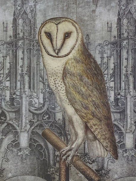 Decoupage Tissue Paper - Barn Owl with Gothic Architecture (38.1cm x 50.8cm) - Rustic Farmhouse Charm