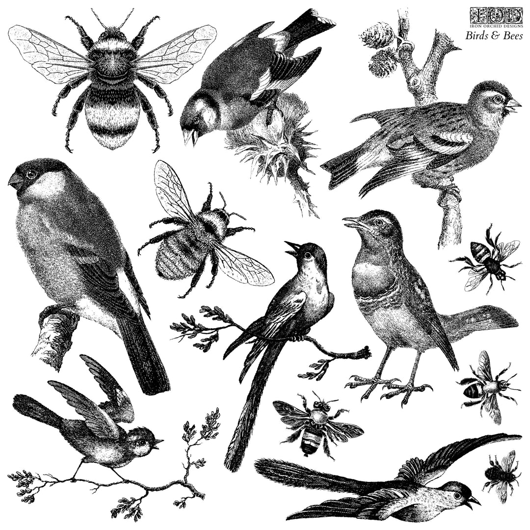 BIRDS & BEES Stamp by IOD (12"x12", 30.48cm x 30.48cm) - Rustic Farmhouse Charm