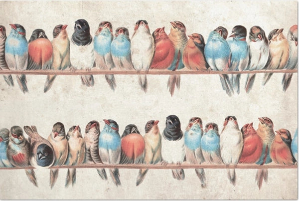 Decoupage Tissue Paper - Birds in a Row (50.8cm x 76.2cm) - Rustic Farmhouse Charm