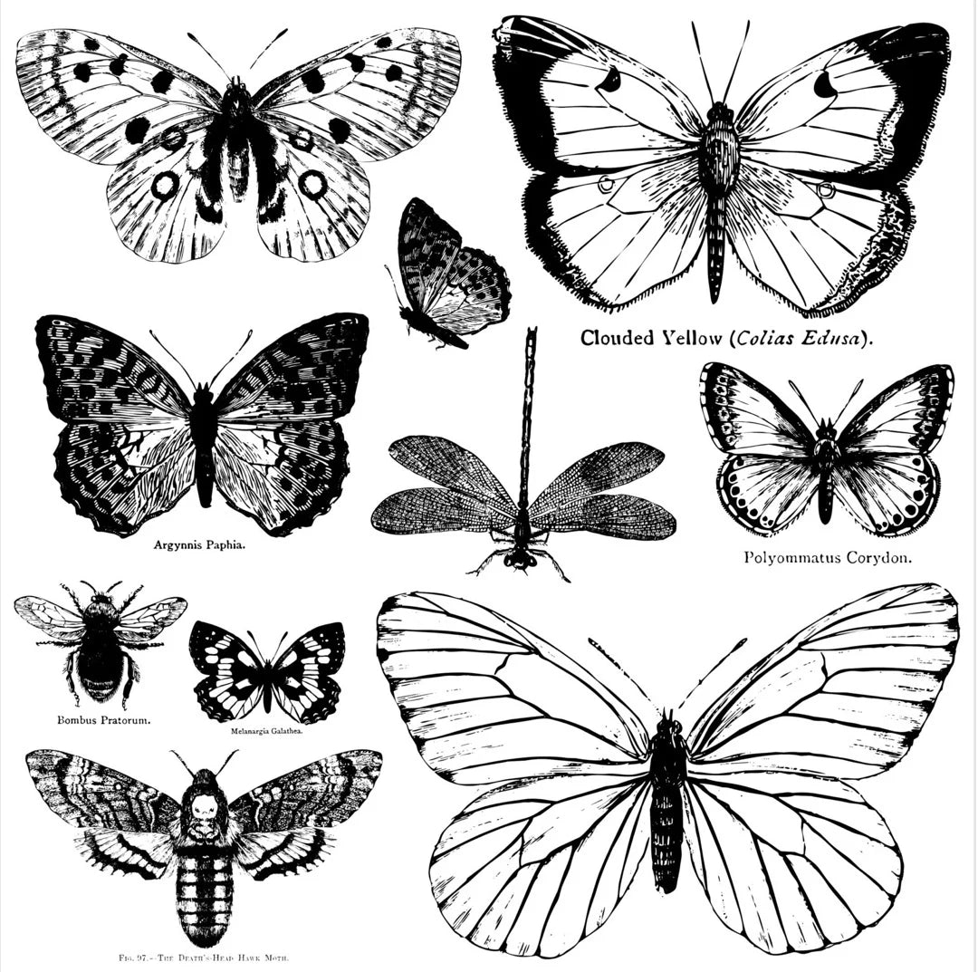 IOD Stamp - BUTTERFLIES (12"x12", 30.48cm x 30.48cm) - Rustic Farmhouse Charm