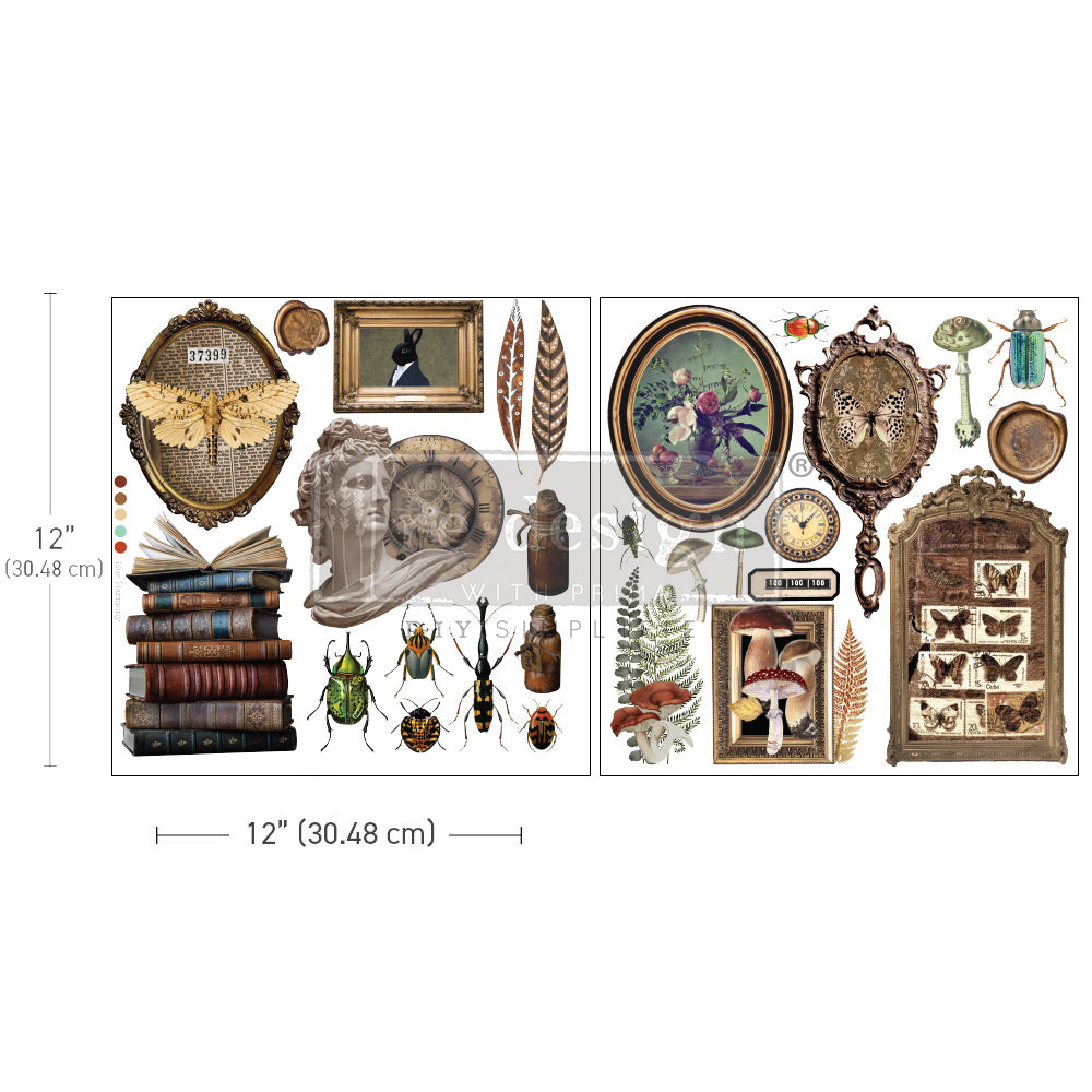 NEW! Redesign Maxi Transfer - COLLECTOR'S CLOSET (2 sheets, each 30.48cm x 30.48cm) - Rustic Farmhouse Charm