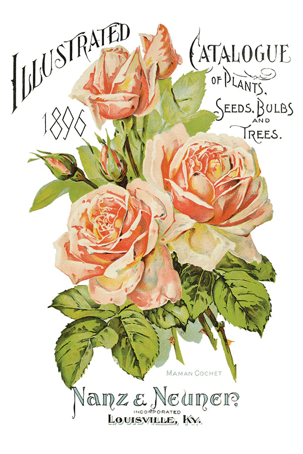 EPHEMERAL MELANGE Transfer Pad by IOD (set of eight 8"x12" sheets) - Rustic Farmhouse Charm