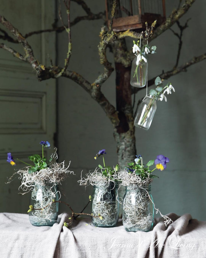 Jeanne d'Arc Living Magazine - 2nd Issue of 2025 (February) FREE SHIPPING* - Rustic Farmhouse Charm
