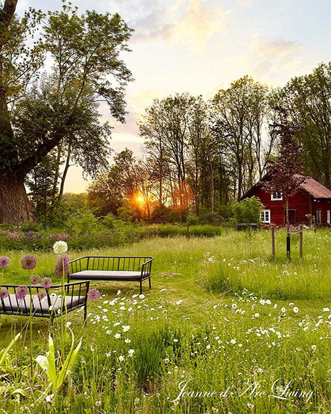 Jeanne d'Arc Living Magazine - 5th Issue of 2025 (July) FREE SHIPPING* - Rustic Farmhouse Charm