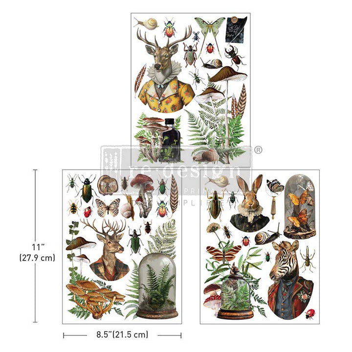 Redesign Middy Transfer - EPHEMERA ENCLAVE (3 sheets, each 21.59cm x 27.94cm) - Rustic Farmhouse Charm