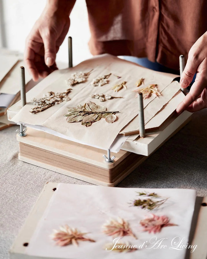 NEW! Jeanne d'Arc Living Magazine - 7th Issue of 2025 (October) FREE SHIPPING* - Rustic Farmhouse Charm