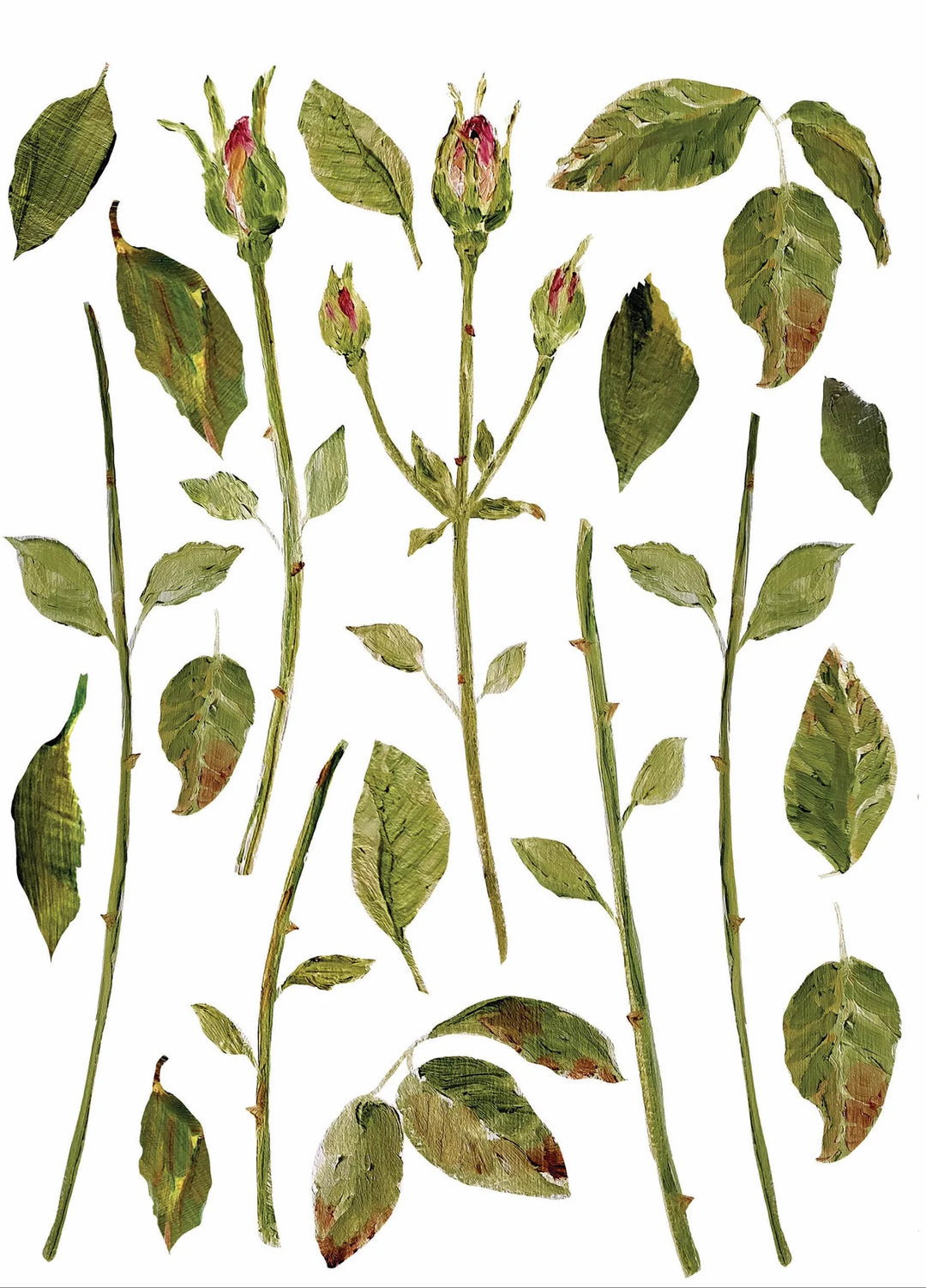 PAINTERLY FLORALS Transfer Pad by IOD (set of eight 12"x16" sheets) - Rustic Farmhouse Charm