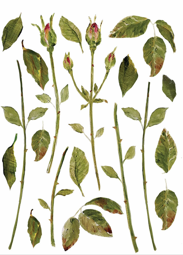 PAINTERLY FLORALS Transfer Pad by IOD (set of eight 12"x16" sheets) - Rustic Farmhouse Charm