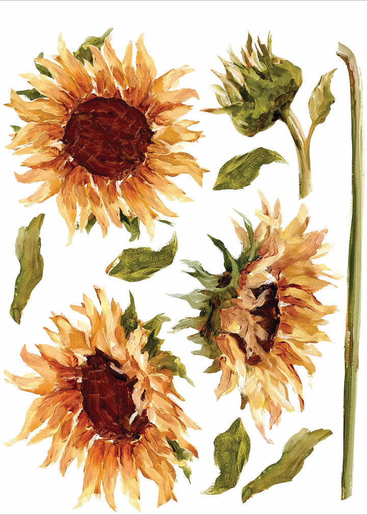 PAINTERLY FLORALS Transfer Pad by IOD (set of eight 12"x16" sheets) - Rustic Farmhouse Charm