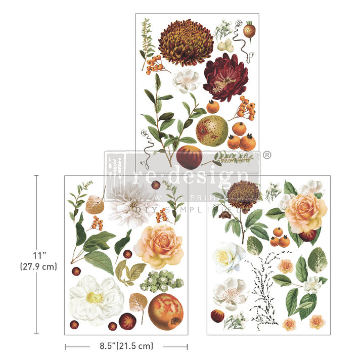 Redesign Middy Transfer - SEASONAL SPLENDOUR (3 sheets, each 21.59cm x 27.94cm) - Rustic Farmhouse Charm