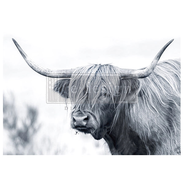 Redesign A1 Decoupage Fibre Paper - SERENADE OF SHAGGY (59.44cm x 84.07cm) - Rustic Farmhouse Charm