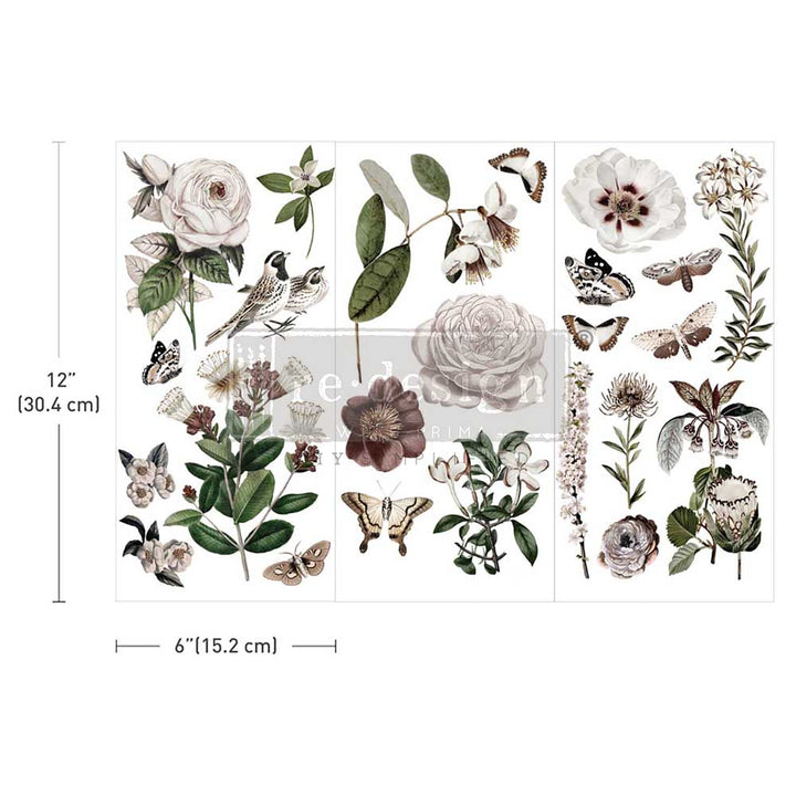 NEW! Redesign Small Transfer -SECRET GARDEN (3 sheets, each 15.24cm x 30.48cm) - Rustic Farmhouse Charm