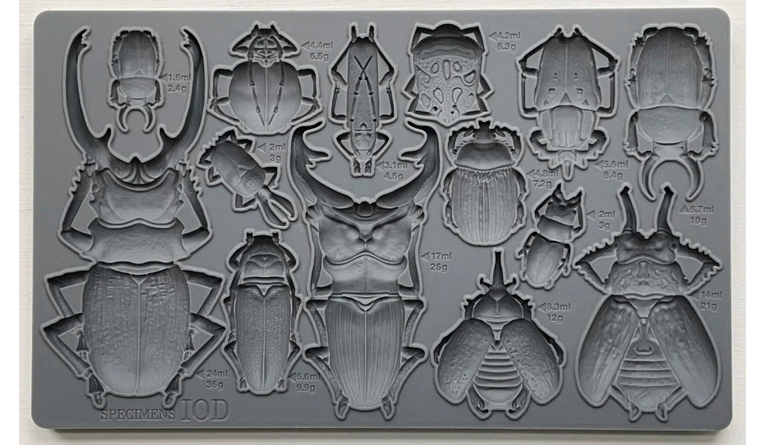 NEW! SPECIMENS Mould by IOD (6"x10", 15.24cm x 25.4cm) - Rustic Farmhouse Charm