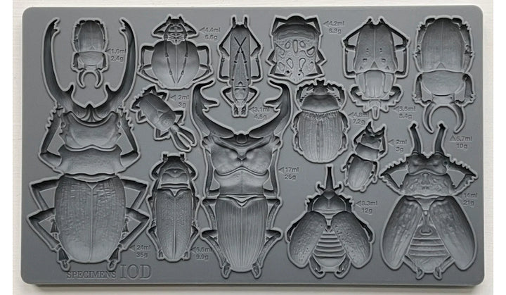 NEW! SPECIMENS Mould by IOD (6"x10", 15.24cm x 25.4cm) - Rustic Farmhouse Charm