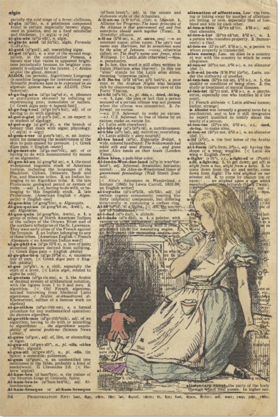 Decoupage Tissue Paper - Alice in Wonderland and the White Rabbit Dictionary Page (50.8cm x 76.2cm) - Rustic Farmhouse Charm