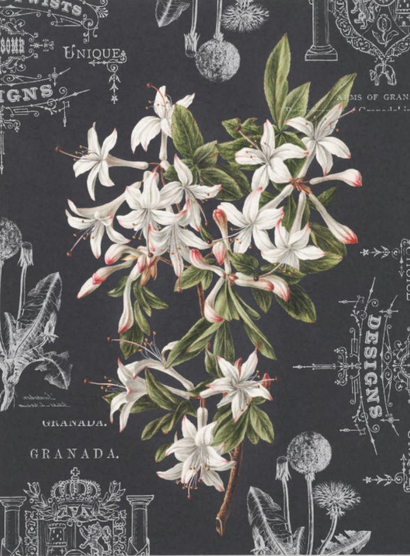 Decoupage Tissue Paper - Azaleas (43.18cm x 58.42cm) - Rustic Farmhouse Charm