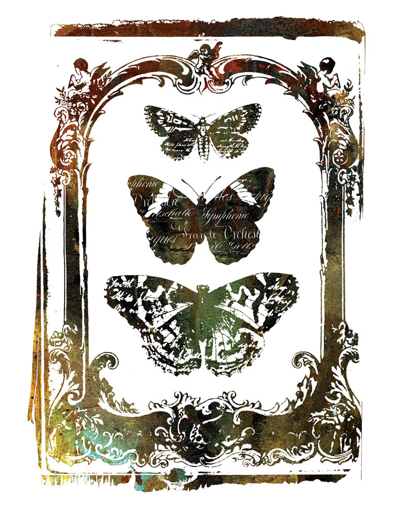 BUTTERFLY FRAME Redesign Transfer (55.88cm x 76.2cm) - Rustic Farmhouse Charm