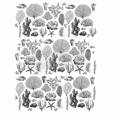 COASTAL SEA LIFE Redesign Transfer (81.28cm x 60.96cm) - Rustic Farmhouse Charm