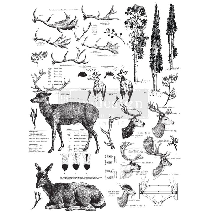 DEER Redesign Transfer 84.68cm x 58.75cm - Rustic Farmhouse Charm
