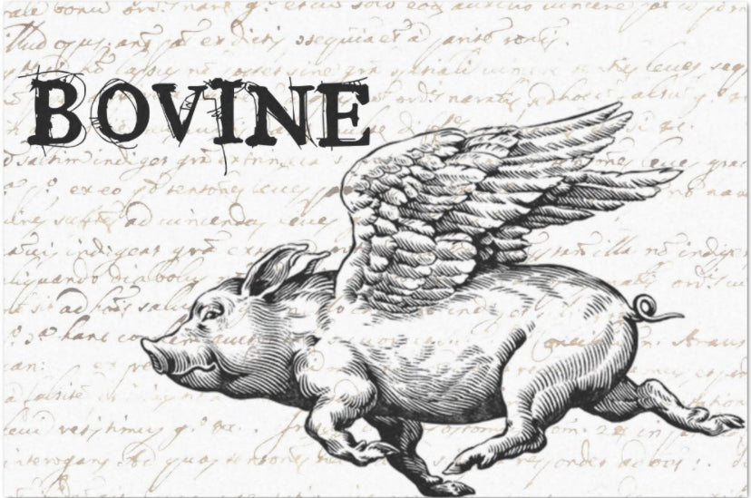 Decoupage Tissue Paper - Flying Pig (50.8cm x 76.2cm) - Rustic Farmhouse Charm