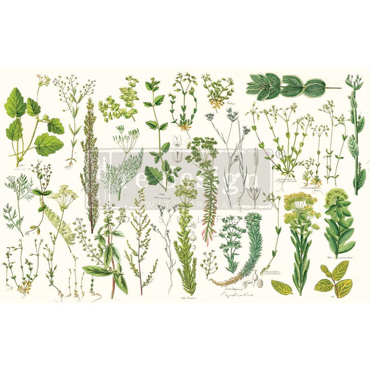 NEW! GREENERY Redesign Decoupage Tissue Paper 48.26cm x 76.2cm - Rustic Farmhouse Charm