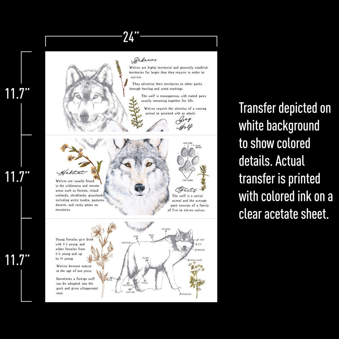 GREY WOLF Redesign Transfer (60.96cm x 88.9cm) - Rustic Farmhouse Charm