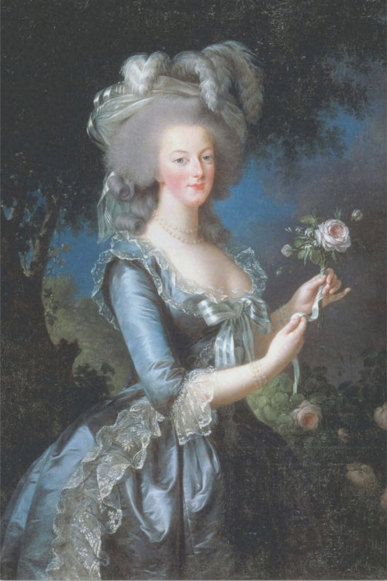 Decoupage Tissue Paper - Marie Antoinette of France by Le Brun (50.8cm x 76.2cm) - Rustic Farmhouse Charm