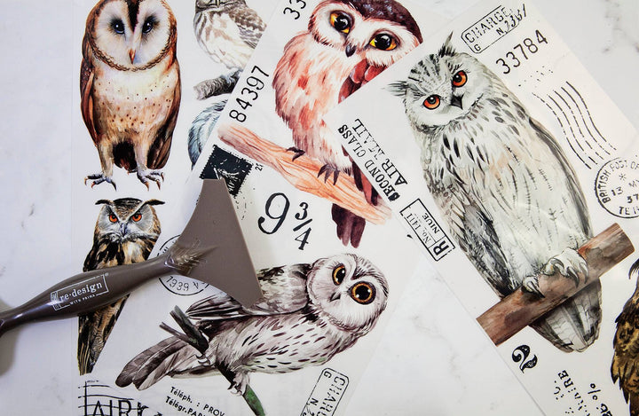 NEW! OWL Redesign Transfer (3 sheets, each 15.24cm x 30.48cm) - Rustic Farmhouse Charm