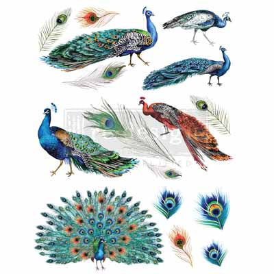 PEACOCK DREAMS Redesign Transfer (83.82cm x 60.96cm) - Rustic Farmhouse Charm