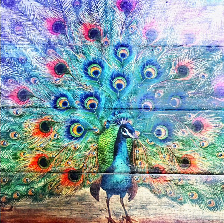 PEACOCK DREAMS Redesign Transfer (83.82cm x 60.96cm) - Rustic Farmhouse Charm