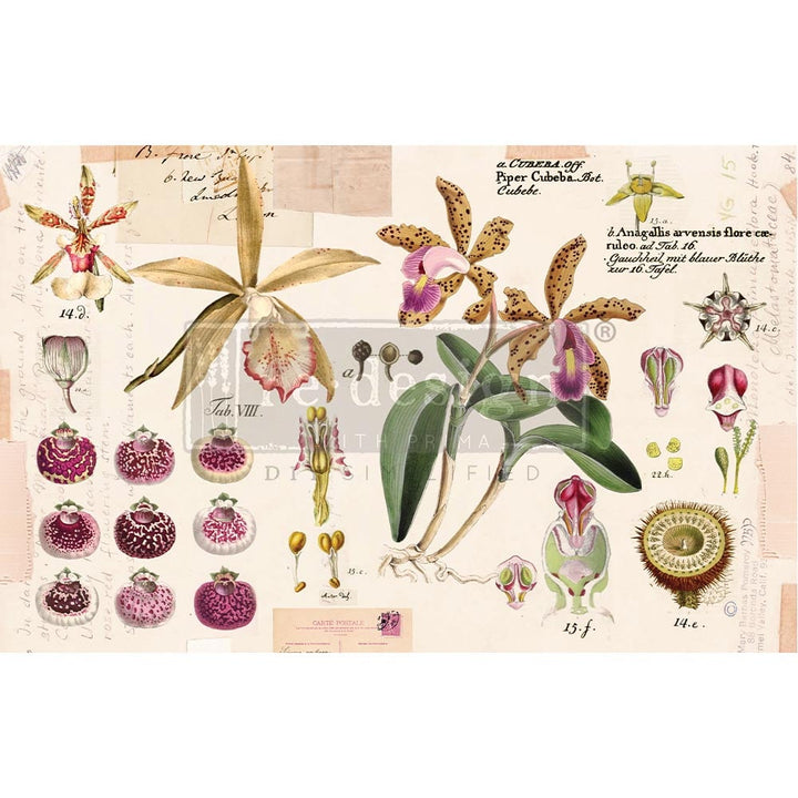 NEW! PURPLE BEAUTY Redesign Decoupage Tissue Paper 48.26cm x 76.2cm - Rustic Farmhouse Charm