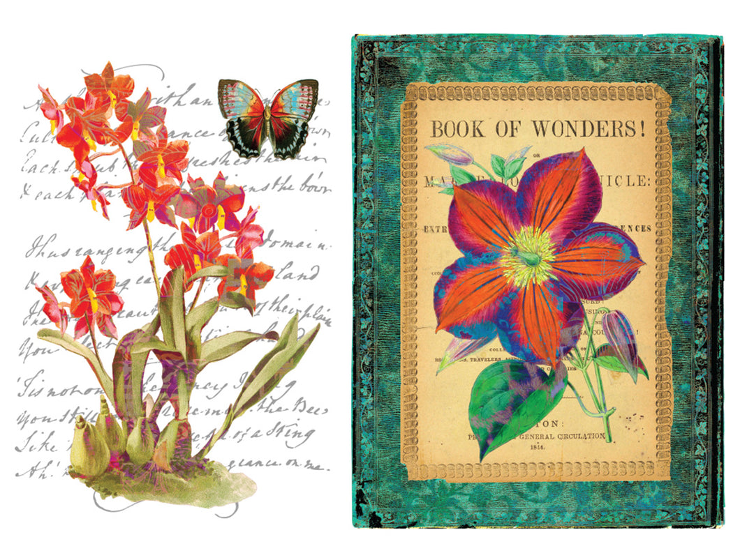 Redesign Transfer - Wondrous Flora  55.88cm x 81.28cm - Rustic Farmhouse Charm