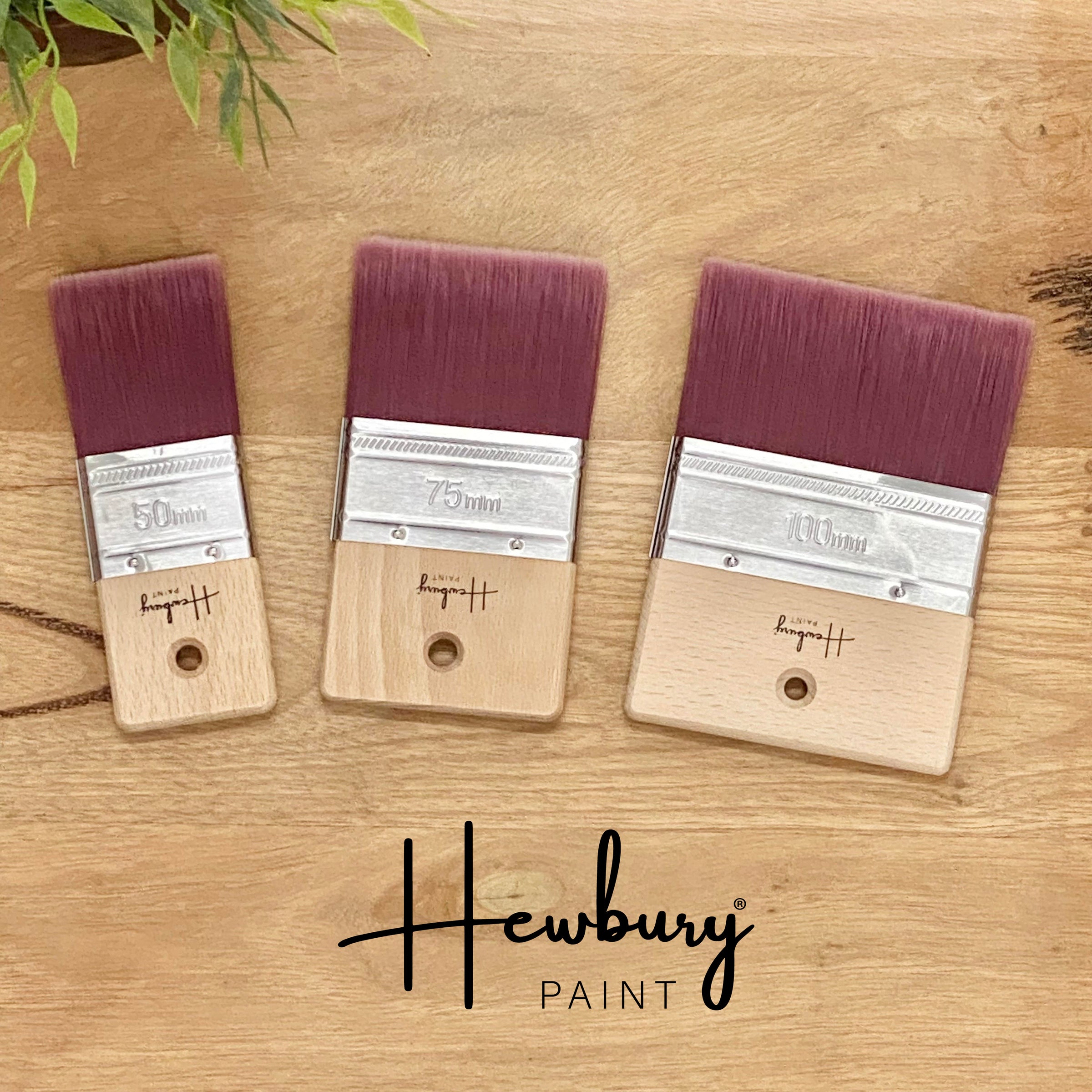 Hewbury's Palm Brushes