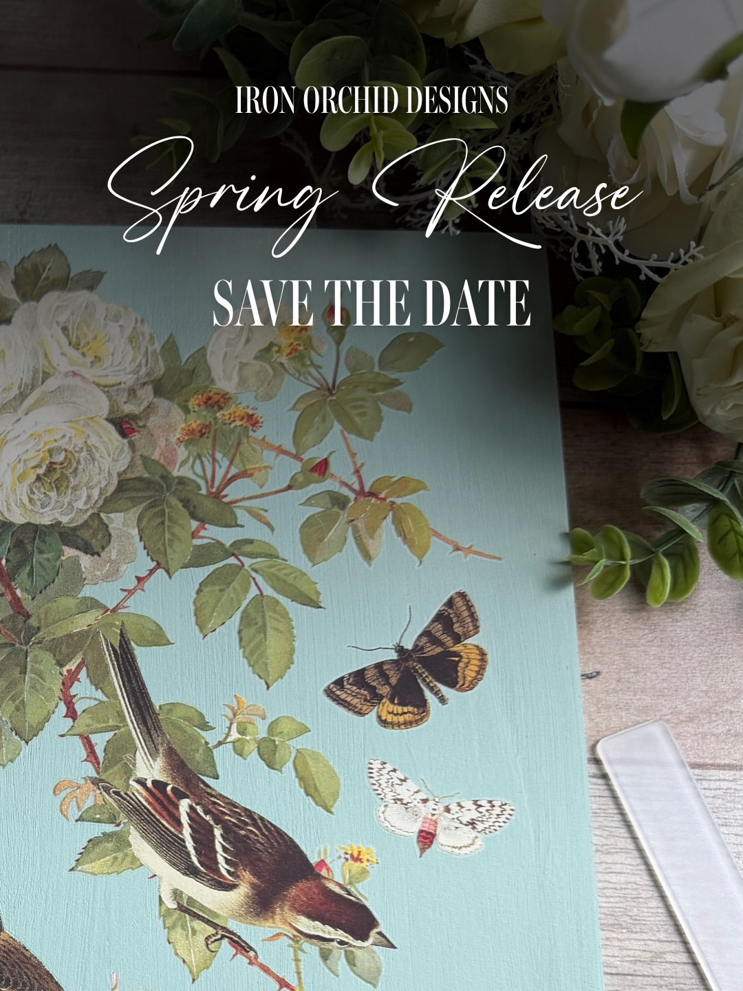 NEW! IOD Q1 Feb 2026 Collection