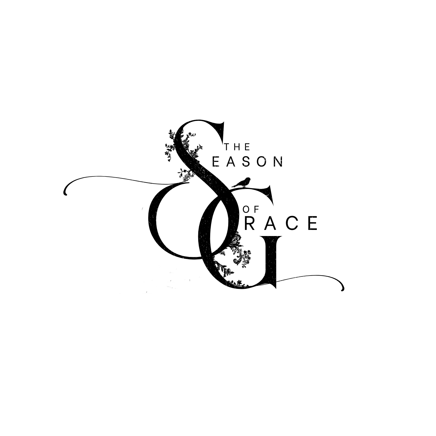 NEW! Redesign Q4 Oct 2025 Release