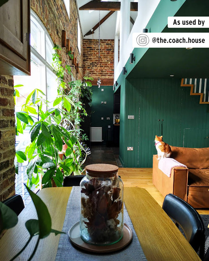 Annie Sloan Chalk Paint® - AMSTERDAM GREEN