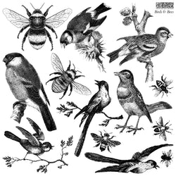 BIRDS & BEES Stamp by IOD (12"x12", 30.48cm x 30.48cm) - Rustic Farmhouse Charm