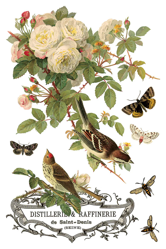 NEW! IOD Transfer Pad - BY ANY OTHER NAME (set of eight 8"x12" sheets) - Rustic Farmhouse Charm