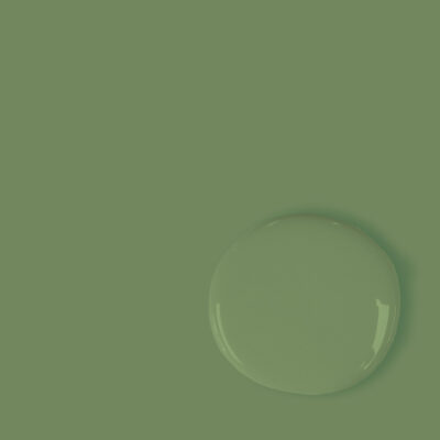 Annie Sloan Chalk Paint® - CAPABILITY GREEN
