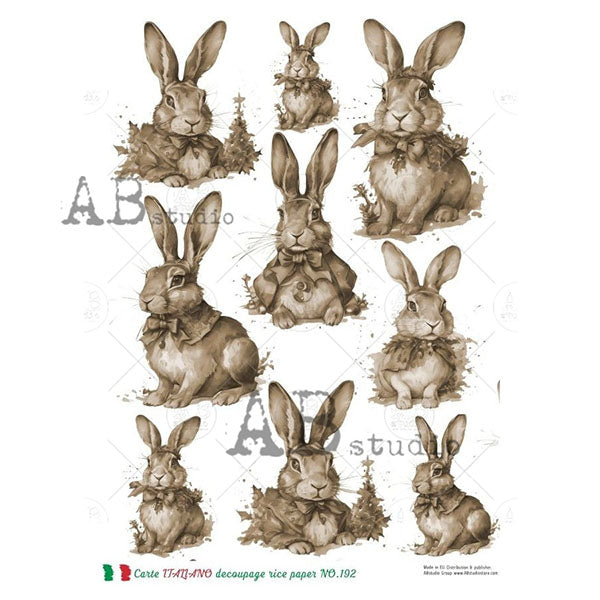ABstudio Rice Paper - CARTE ITALIANO 192 (A4) - Rustic Farmhouse Charm