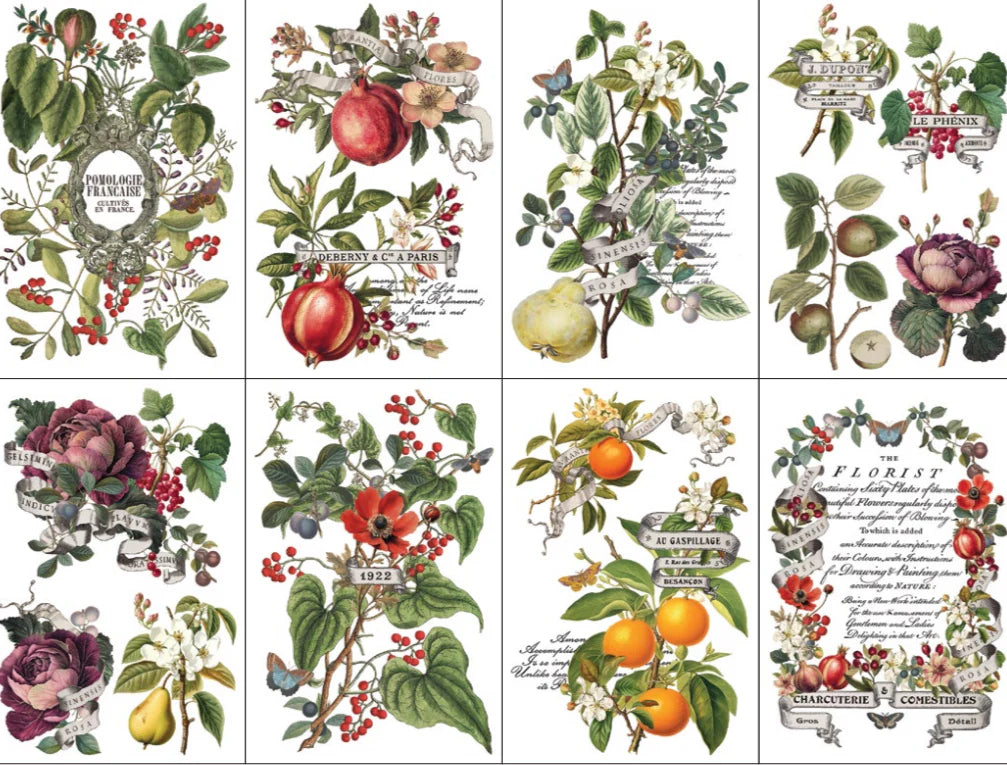 NEW! IOD Transfer Pad - CLEMENTINE (set of eight 8"x12" sheets) - Rustic Farmhouse Charm