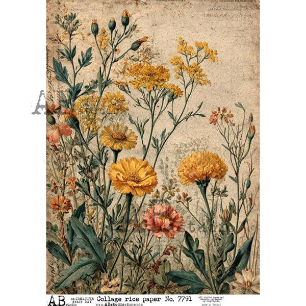 ABstudio Rice Paper - COLLAGE 7791 (A4)