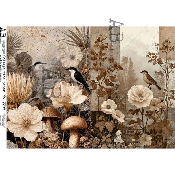 ABstudio Rice Paper - COLLAGE 7798 (A4)