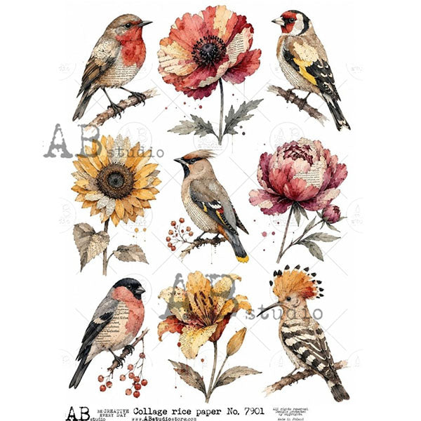 ABstudio Rice Paper - COLLAGE 7901 (A4)