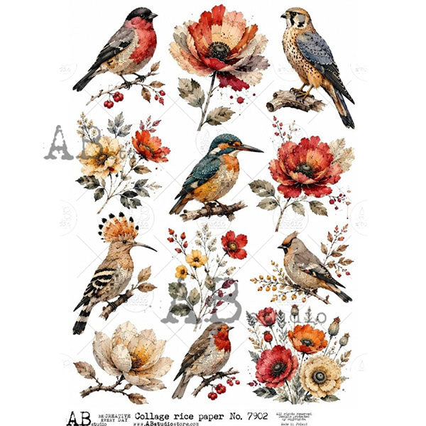 ABstudio Rice Paper - COLLAGE 7902 (A4)