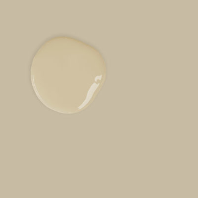 Annie Sloan Chalk Paint® - COUNTRY GREY
