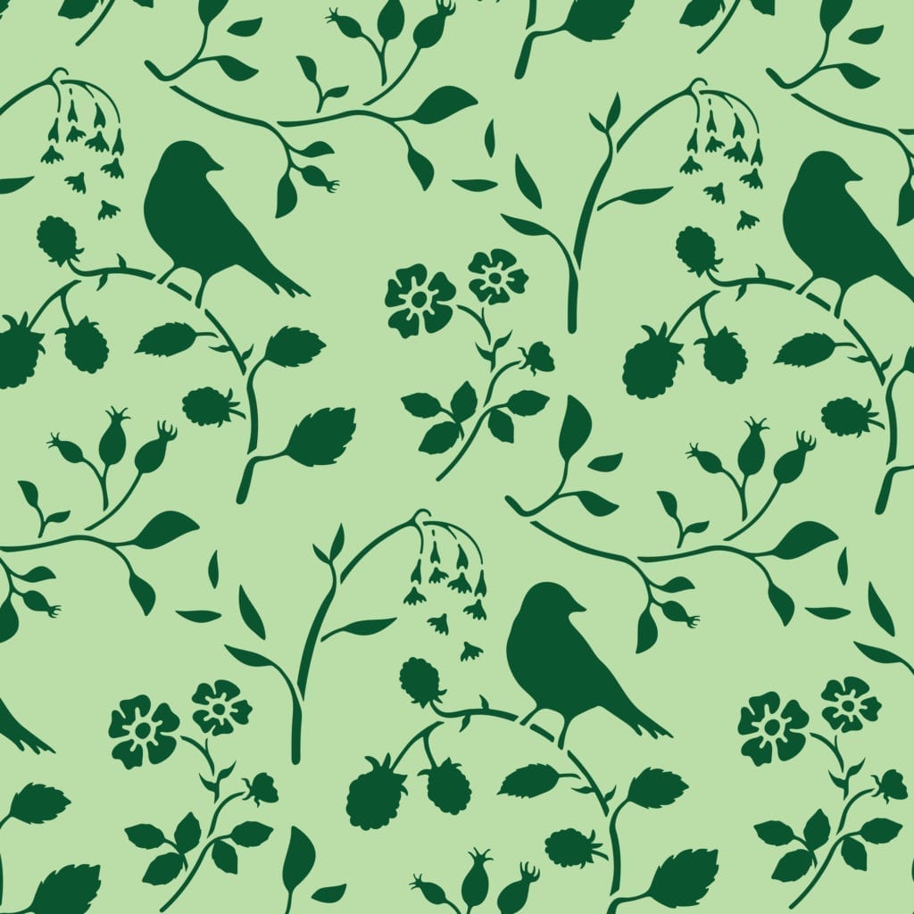 Annie Sloan Stencil Set - COUNTRYSIDE BIRD