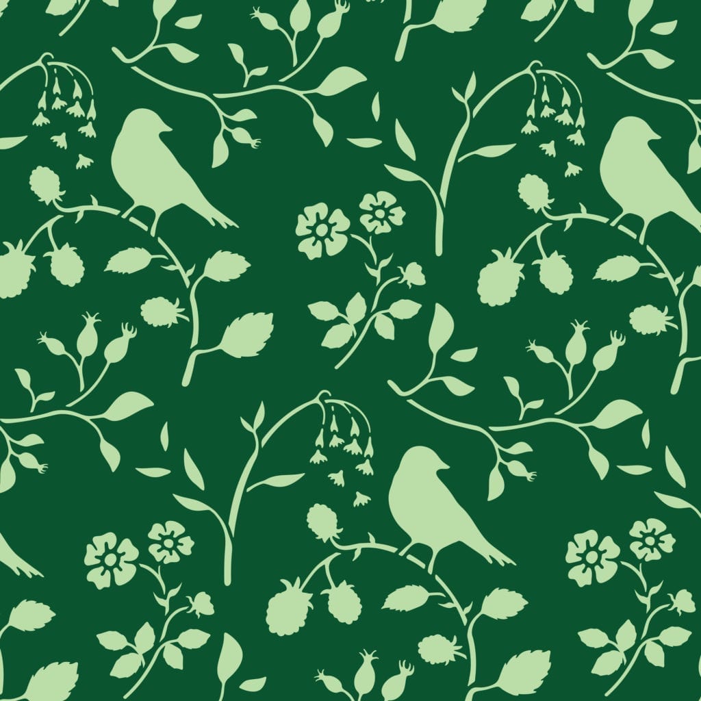 Annie Sloan Stencil Set - COUNTRYSIDE BIRD