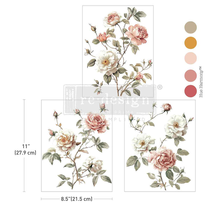 NEW! Redesign Middy Transfer - CREAMY BLUSH BLOOMS (3 sheets, each 21.59cm x 27.94cm) - Rustic Farmhouse Charm
