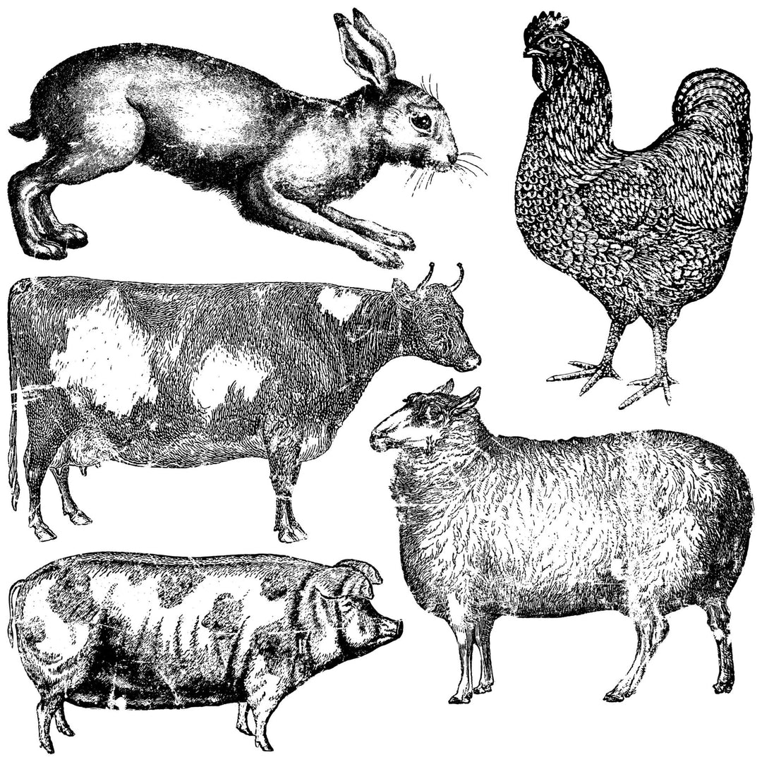 FARM ANIMALS Stamp by IOD (12"x12", 30.48cm x 30.48cm) - Rustic Farmhouse Charm